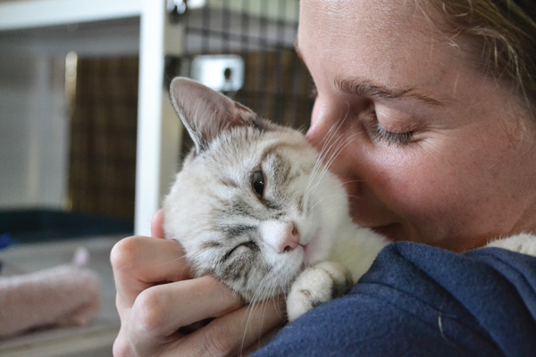 2014 Best Of San Diego: Pets