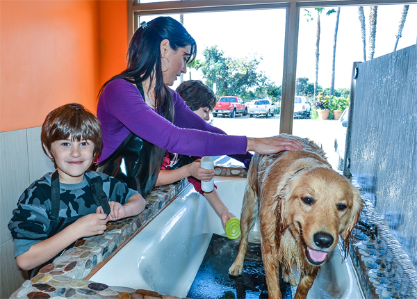 2014 Best Of San Diego: Pets