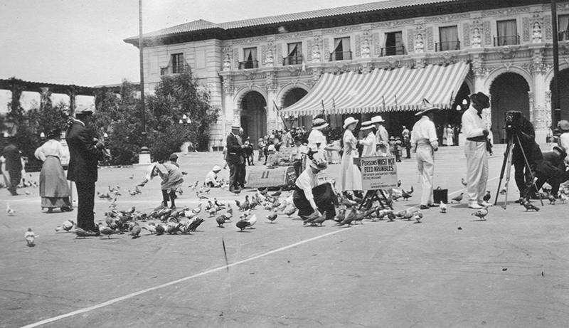 Tales of the 1915 Exposition