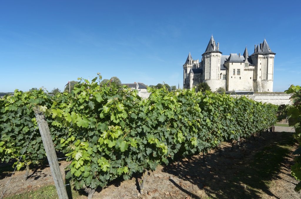 Great Wines