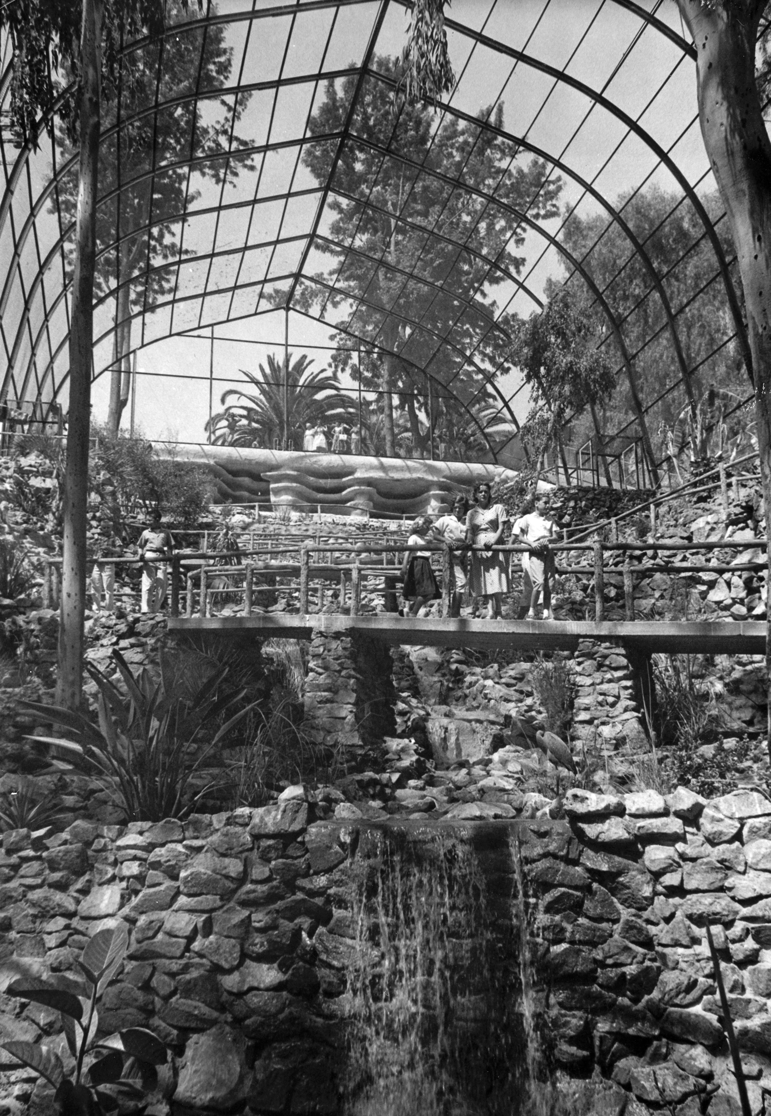 Celebrating 100 Years of the San Diego Zoo Ranch & Coast Magazine