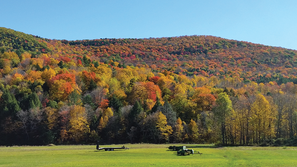 Vermont
