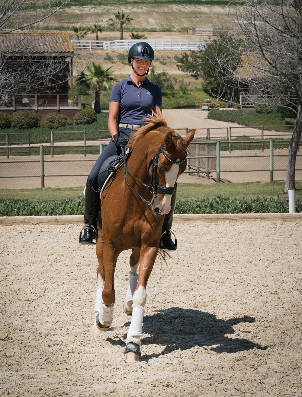 Equestrian Institution