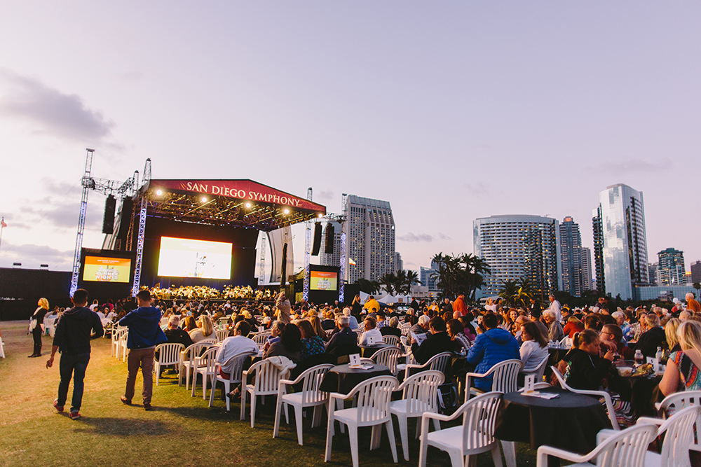 Bayside Summer Nights