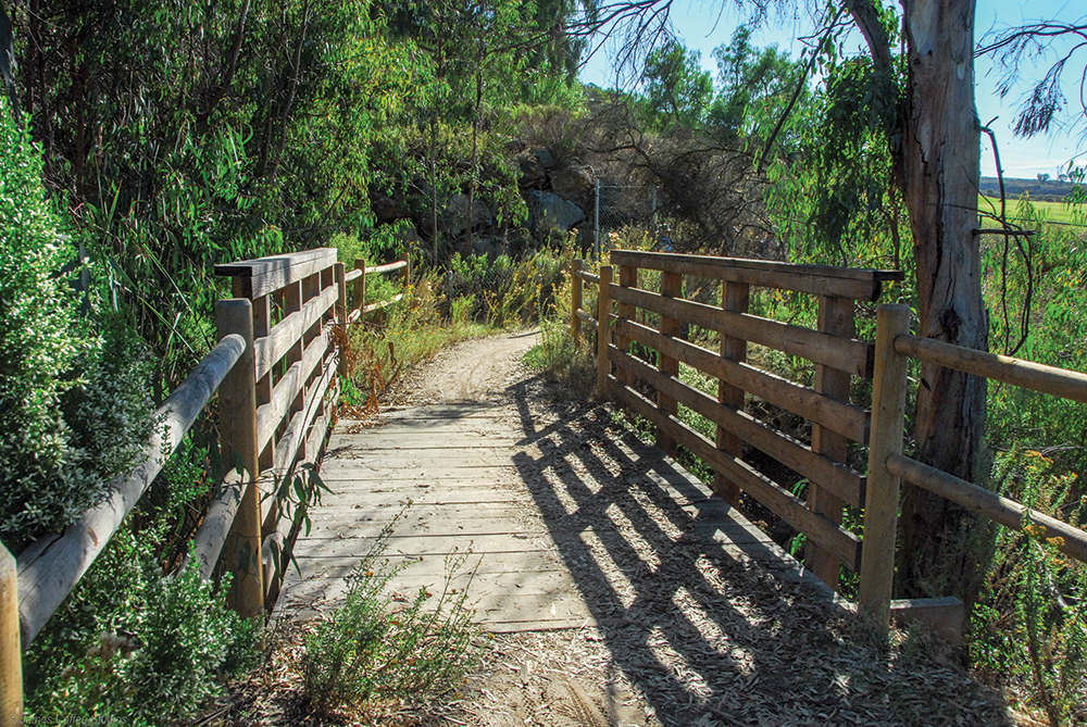 Coast to Crest Trail Challenge