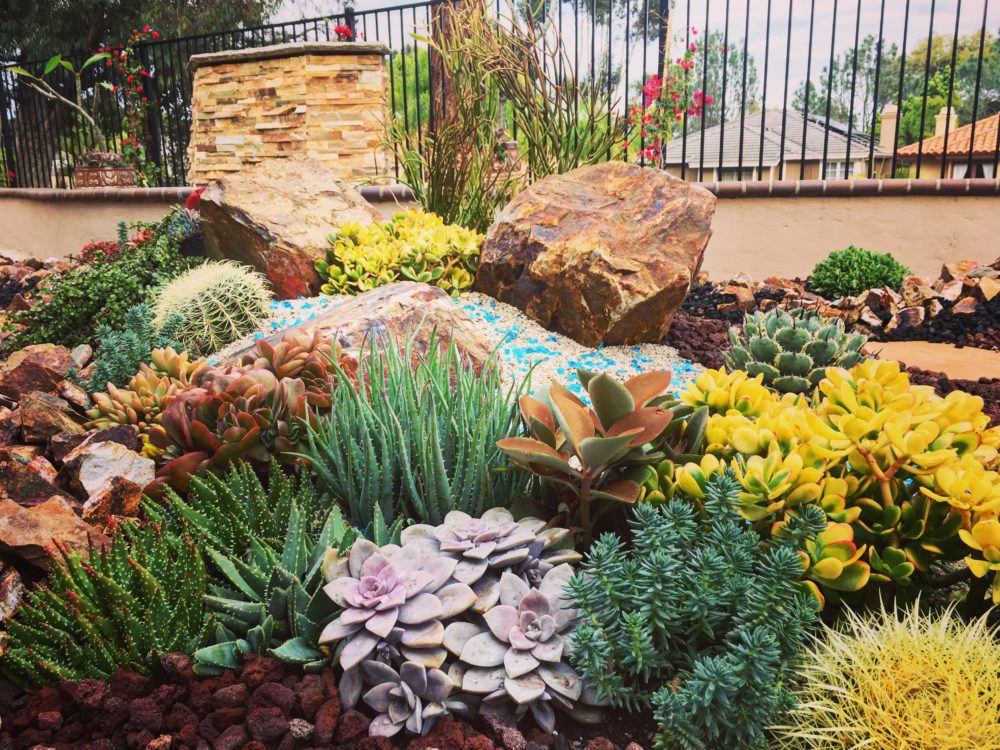 Master Gardener Spring Seminar