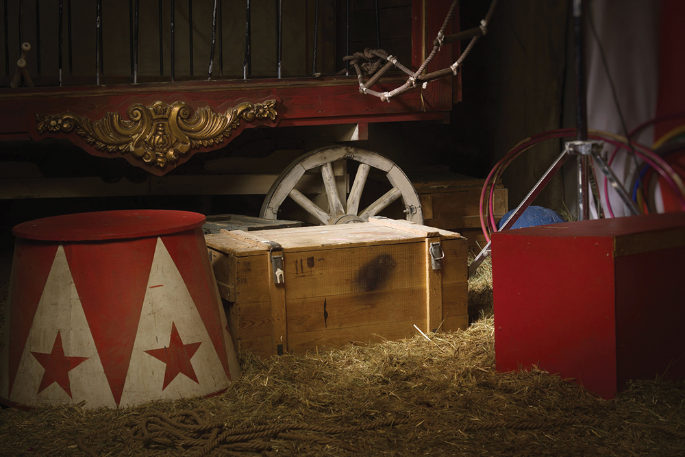 Circus Under the Stars