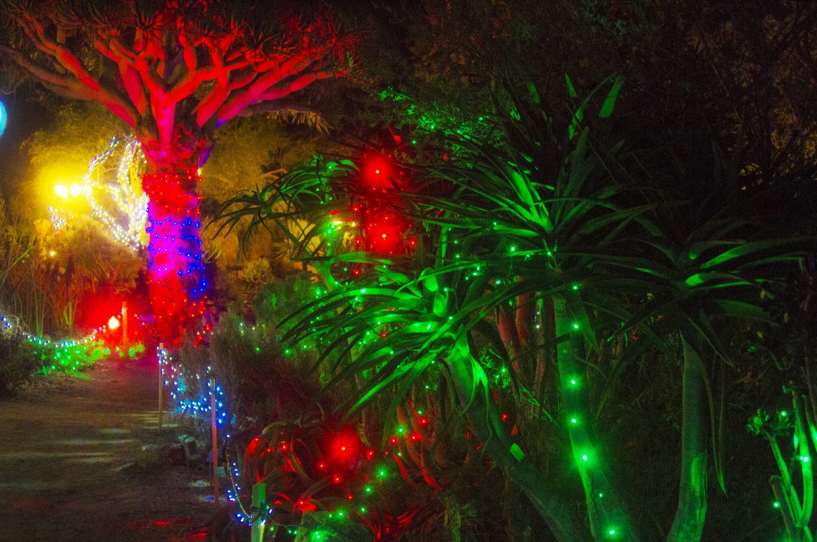 Garden of Lights