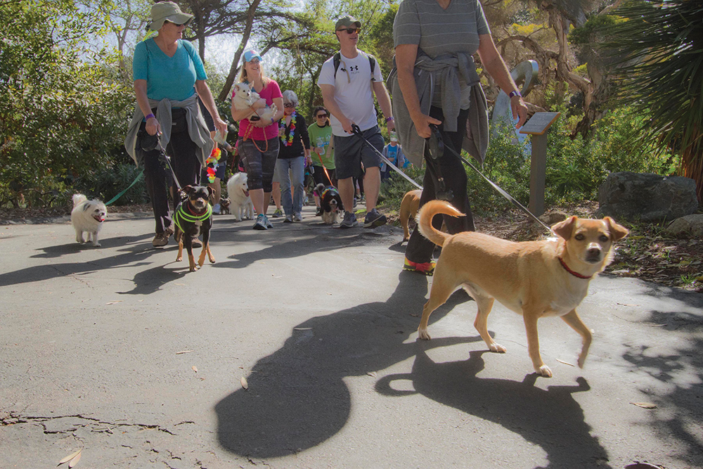 5K Paw Walk in the Garden