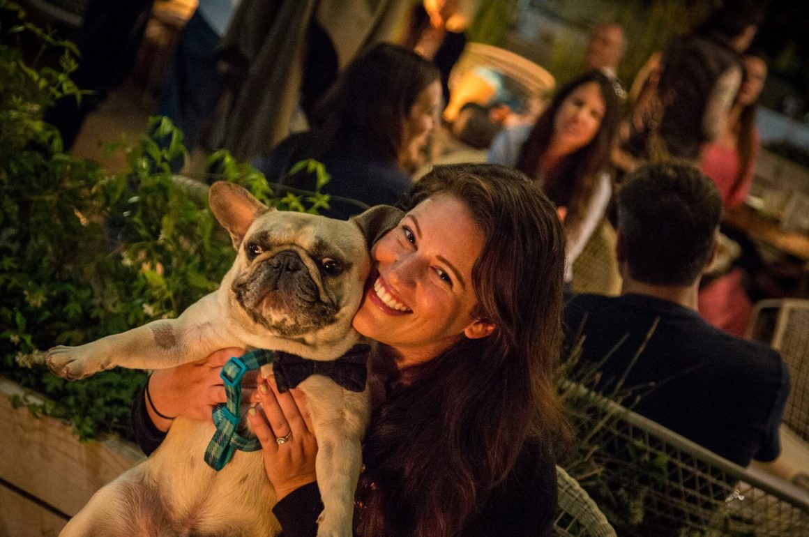 Paws and Pints La Jolla