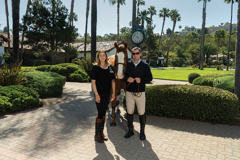 McArdle Equestrian